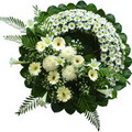 çiçekçi adresi  cenazeye çiçek çeleng modeli çiçekçi dükkanından 