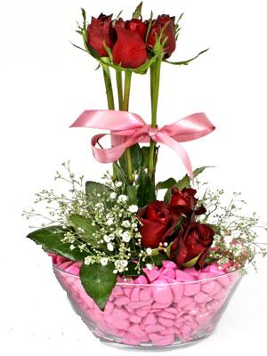 ucuz çiçek çeşitleri  Camda kırmızı güller çiçekçi dükkanından 