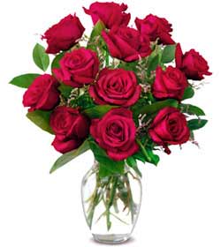 çiçekçilik firması  Sevgiye hasret gülleri çiçekçi dükkanından 