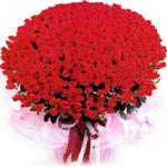 ucuz çiçek çeşitleri  özel ve sevgi içinde 365 gün çiçekçi dükkanından 
